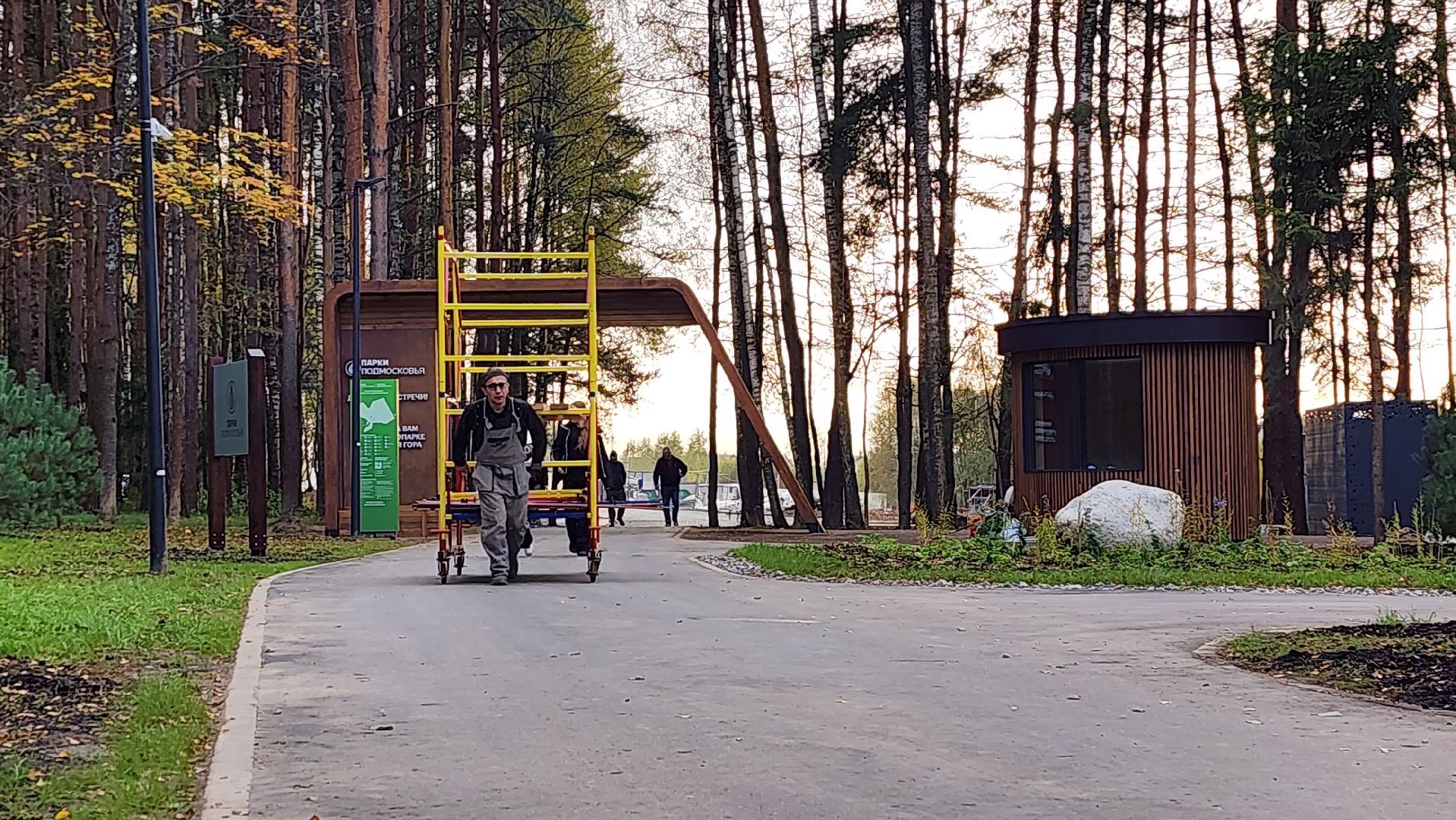 истра, благоустройство, лесопарк,