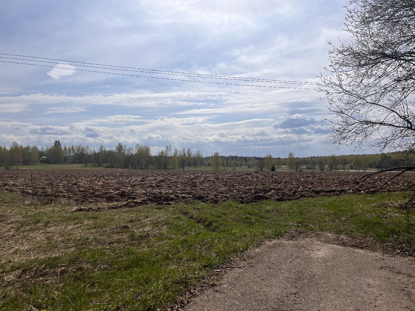 Шаховская, сельхоз, земля