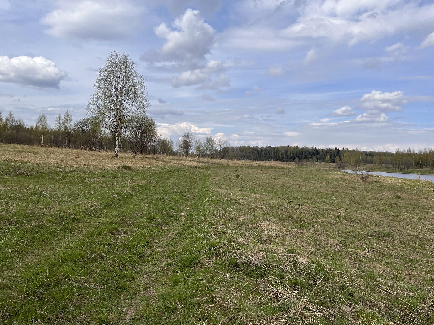 Шаховская, сельхоз, земля