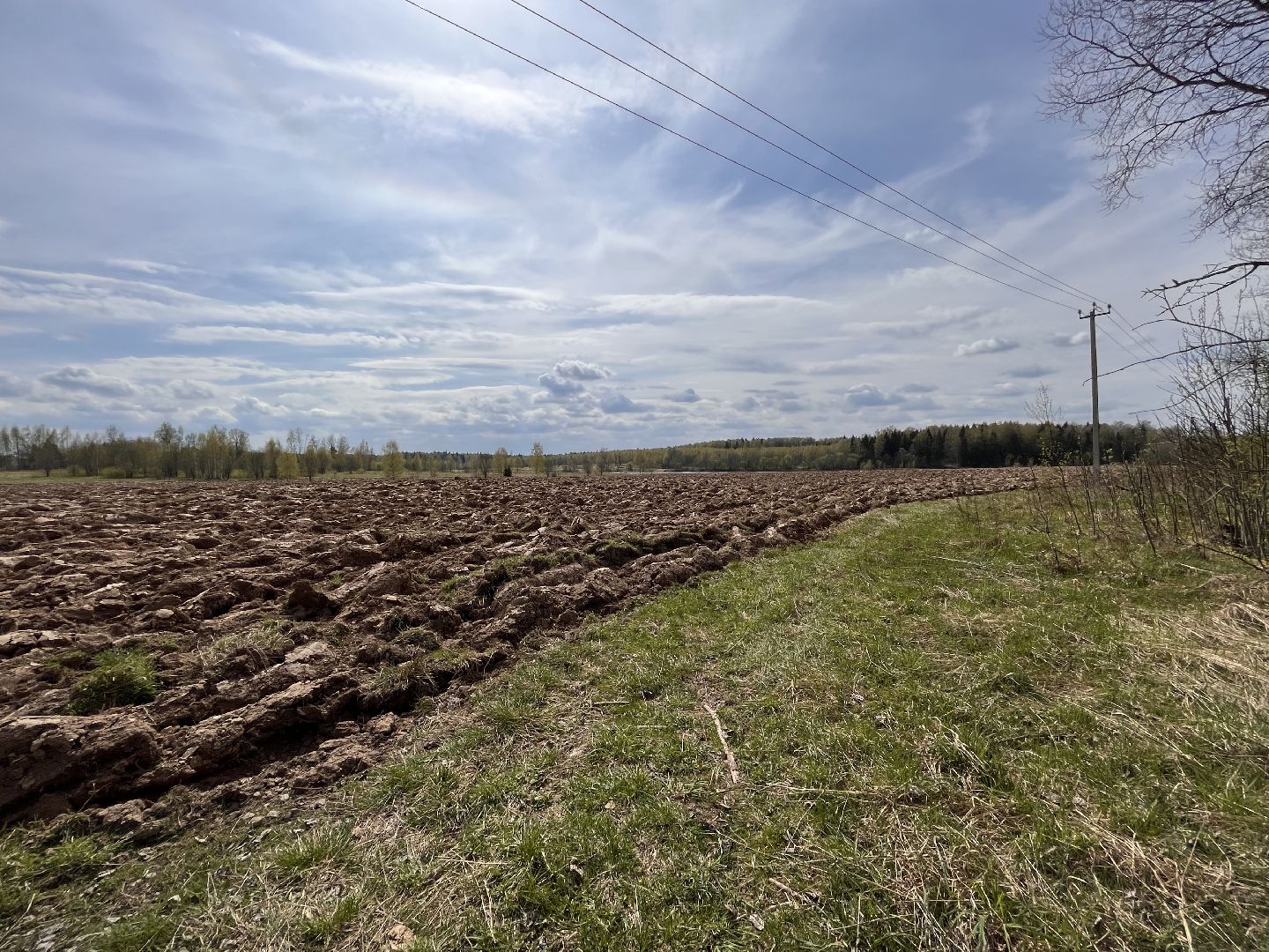 Шаховская, сельхоз, земля