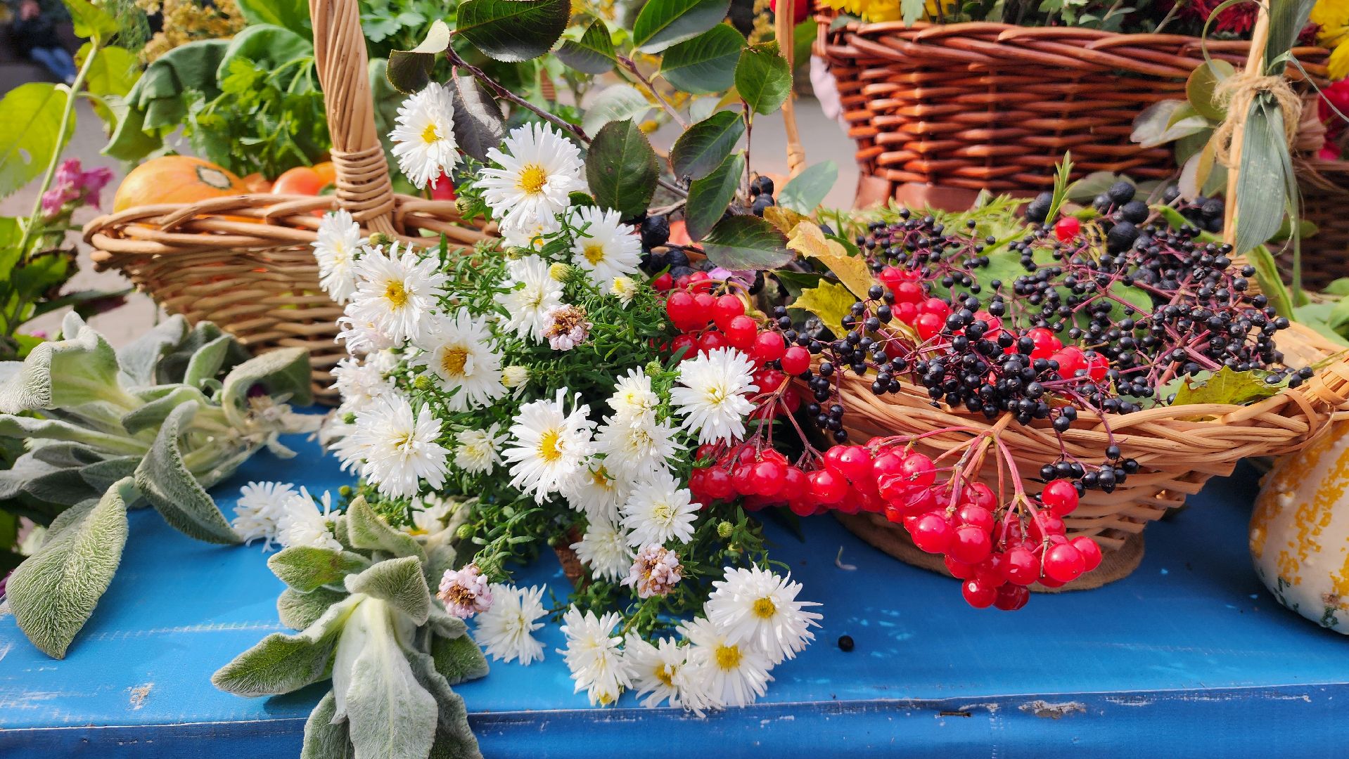 парк елочки, домодедово, осень, парки, ярмарка, фестиваль, конкурс,