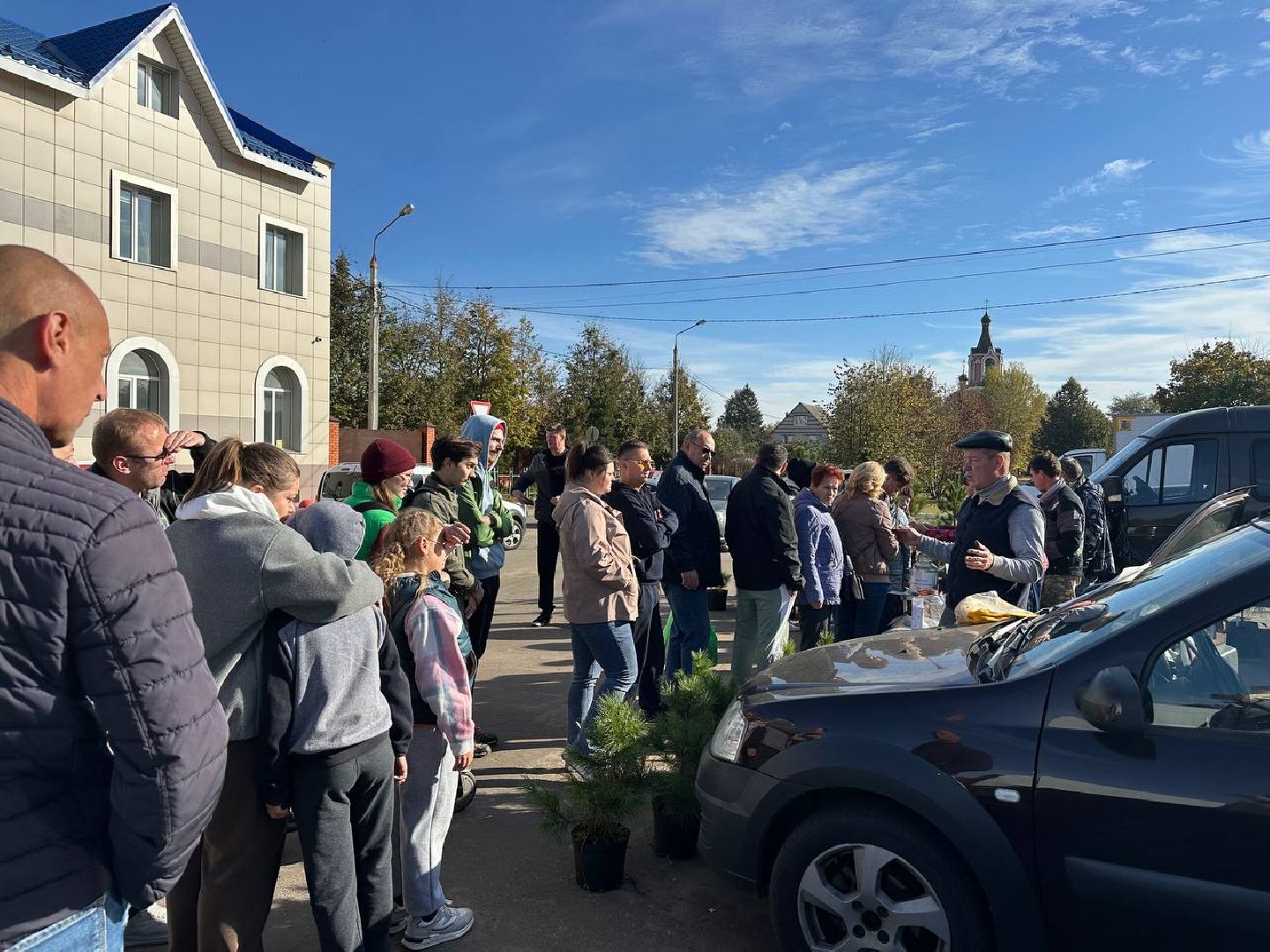 благотворительная акция, домодедово, деревья,