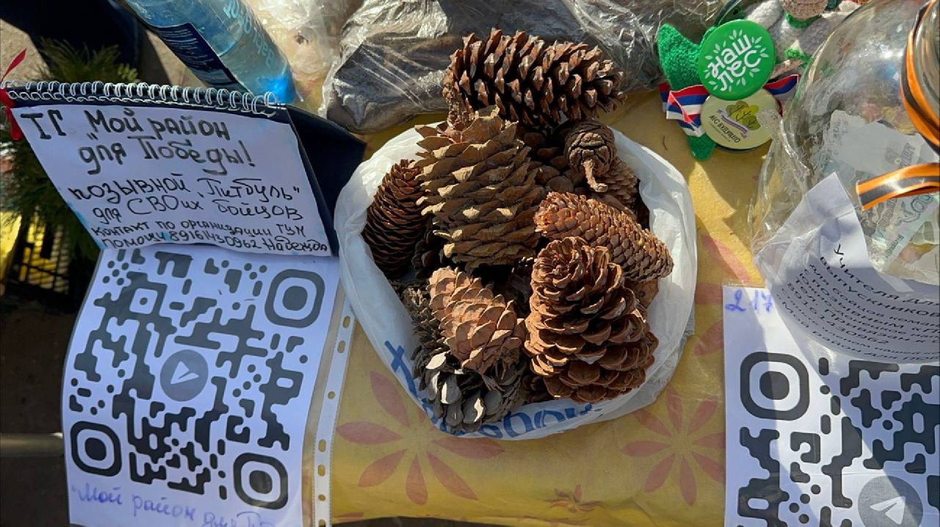 благотворительная акция, домодедово, деревья,