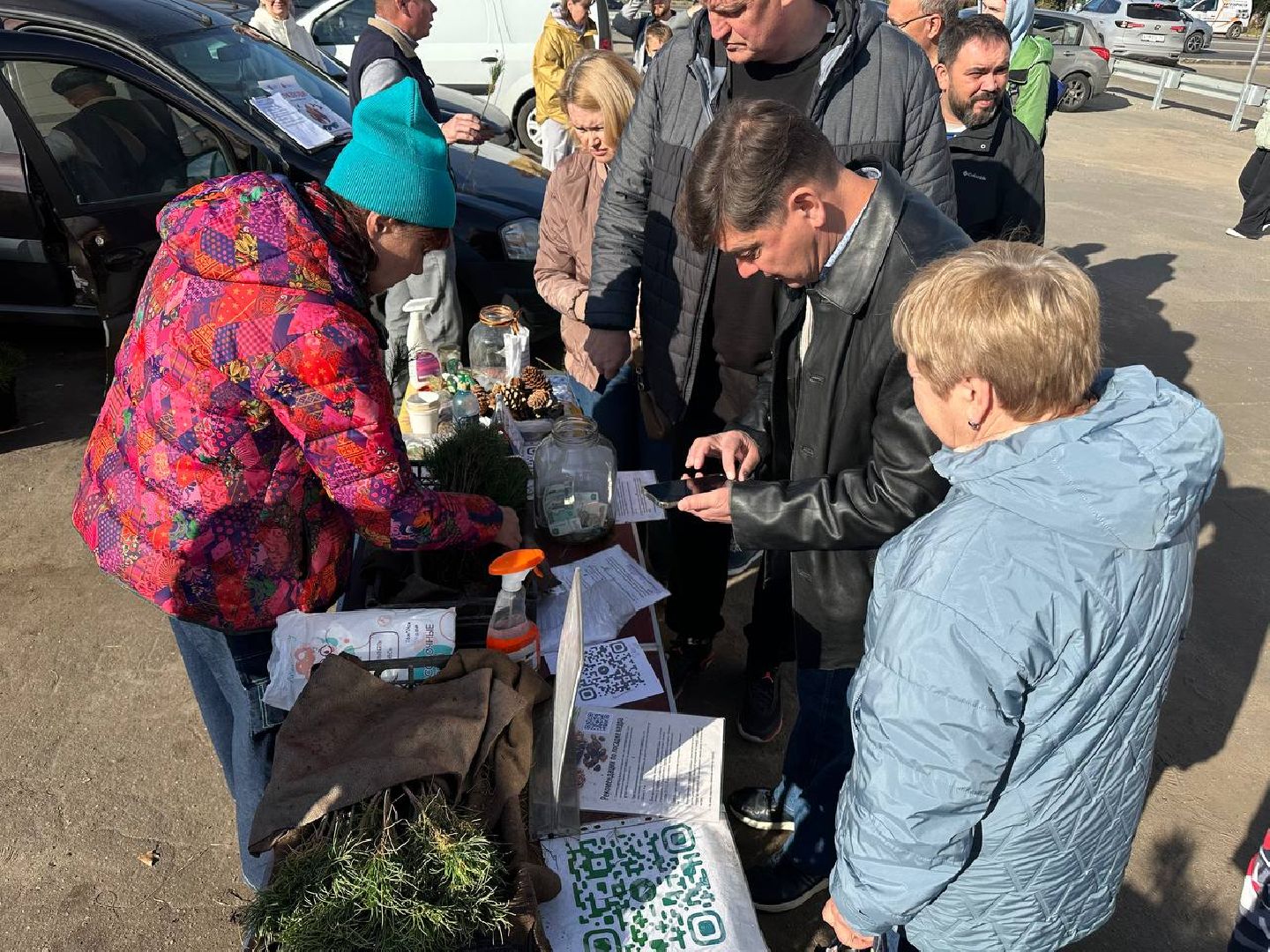 благотворительная акция, домодедово, деревья,