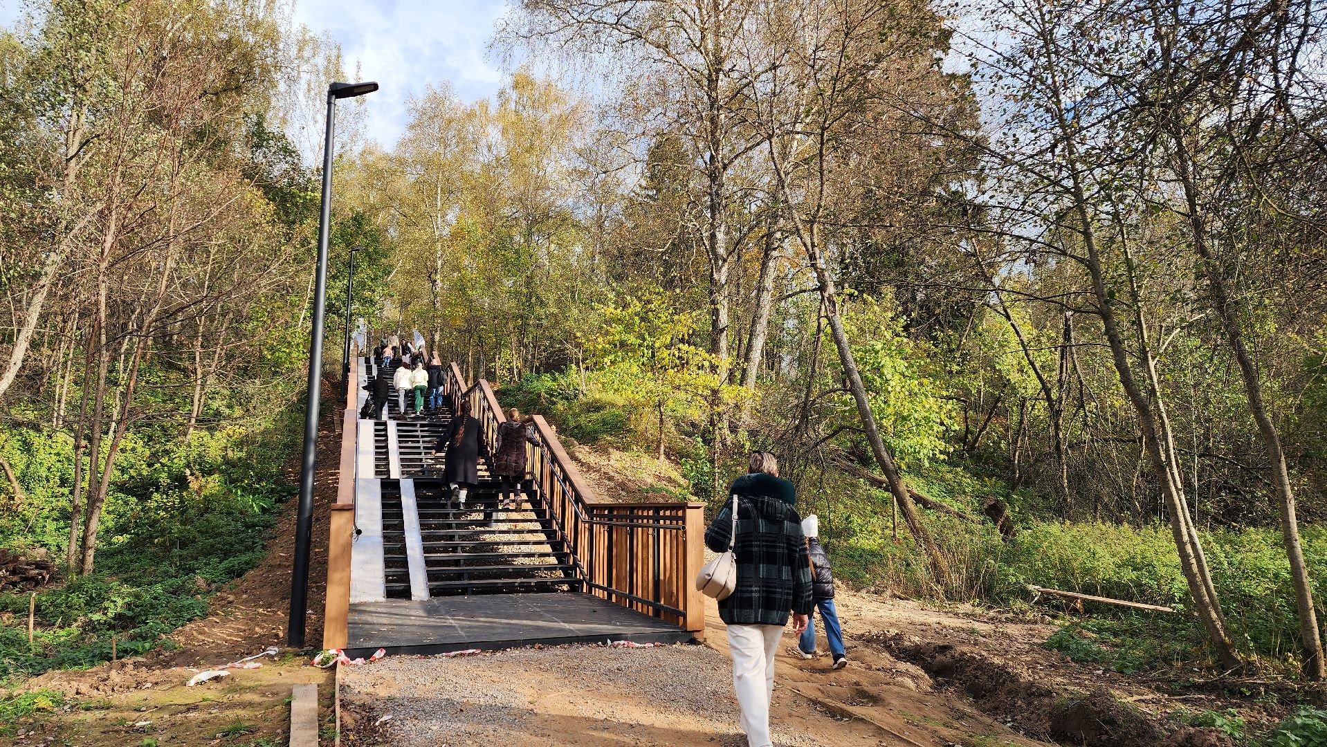 истра, лесопарк, благоустройство,