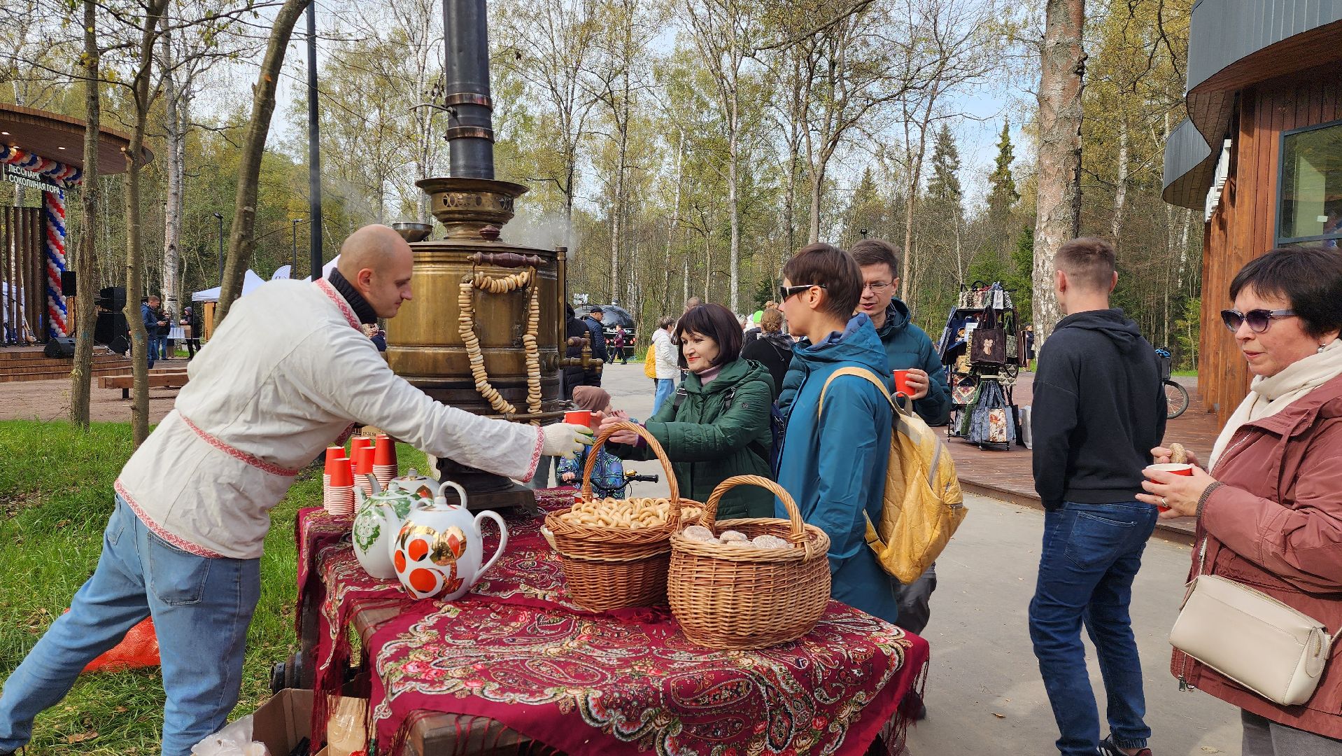 истра, лесопарк, благоустройство,