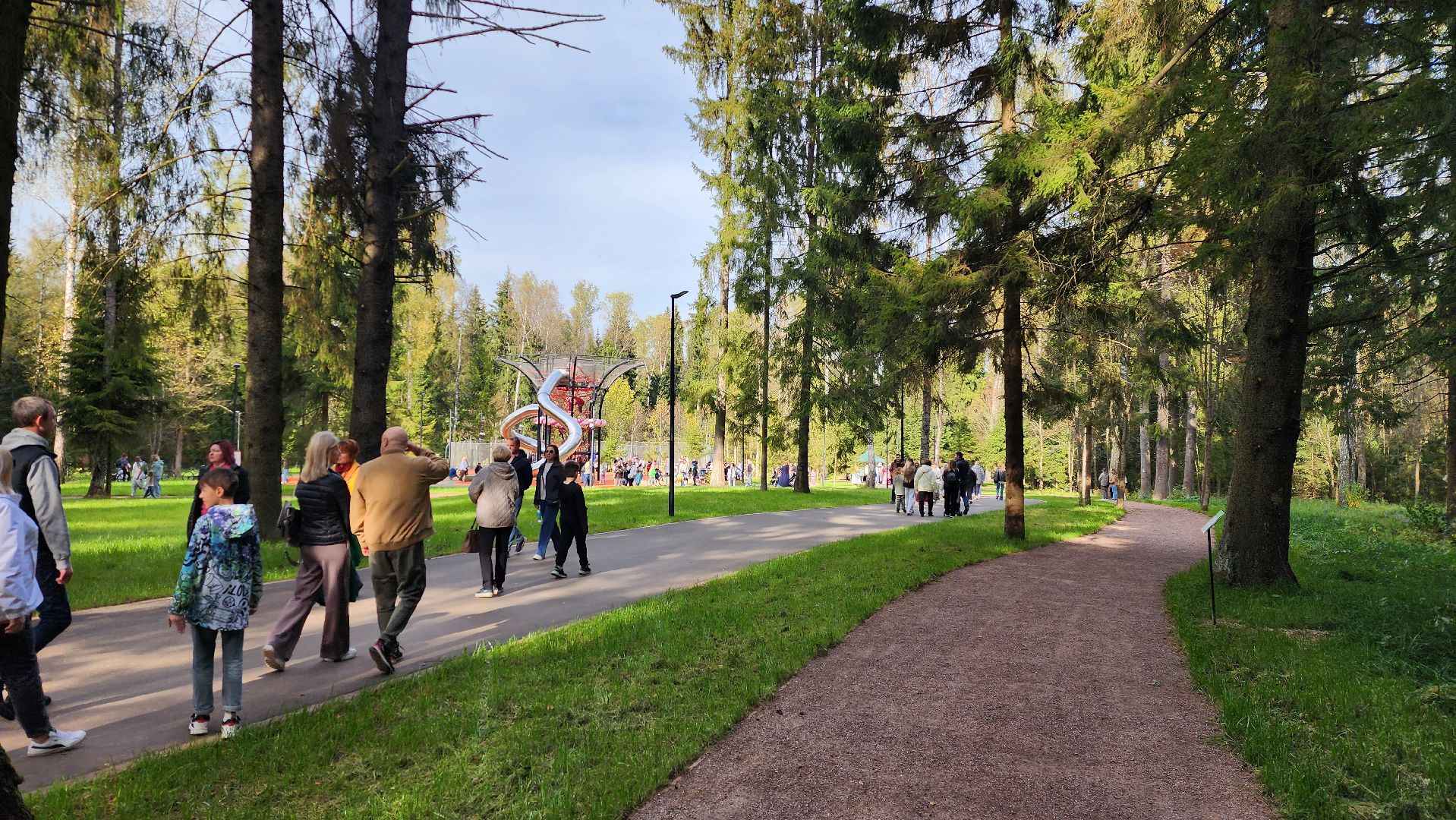 истра, лесопарк, благоустройство,