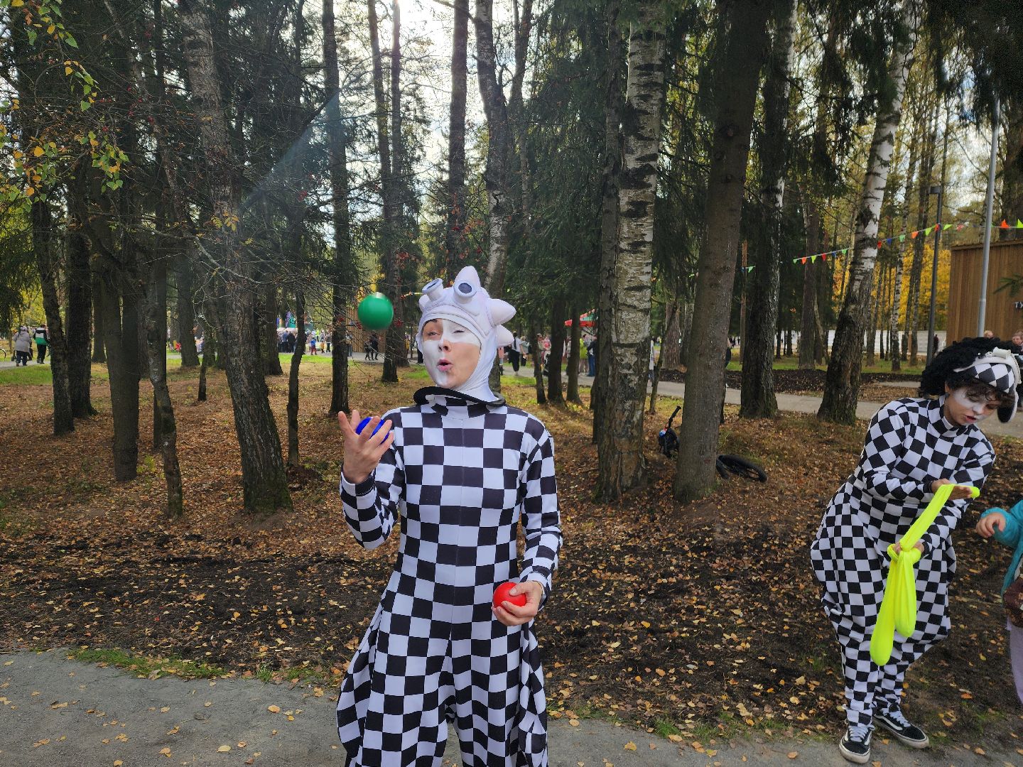 красноармейск, городской округ пушкинский, банный лес, лесопарк,