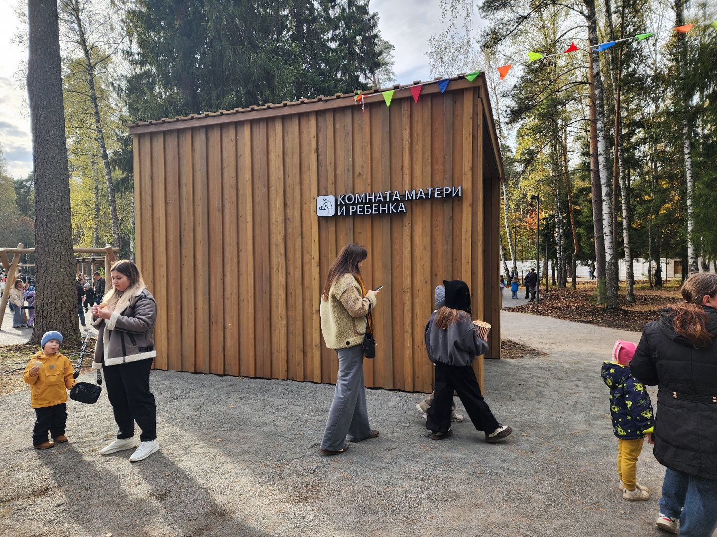 красноармейск, городской округ пушкинский, банный лес, лесопарк,