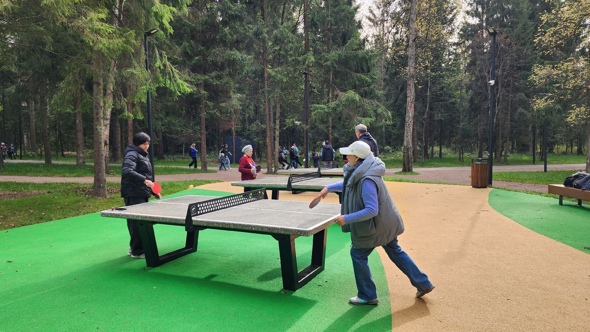 истра, лесопарк, благоустройство, спорт,