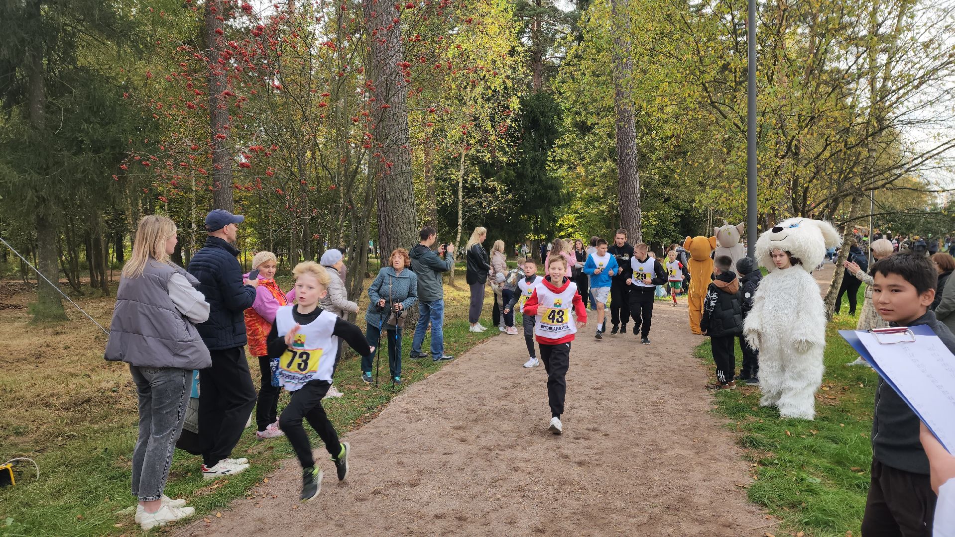 красноармейск, городской округ пушкинский, банный лес, спортивный забег,