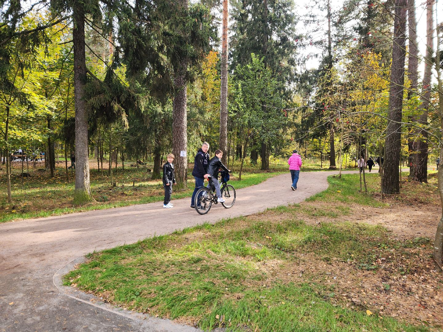 красноармейск, городской округ пушкинский, банный лес, спортивный забег,