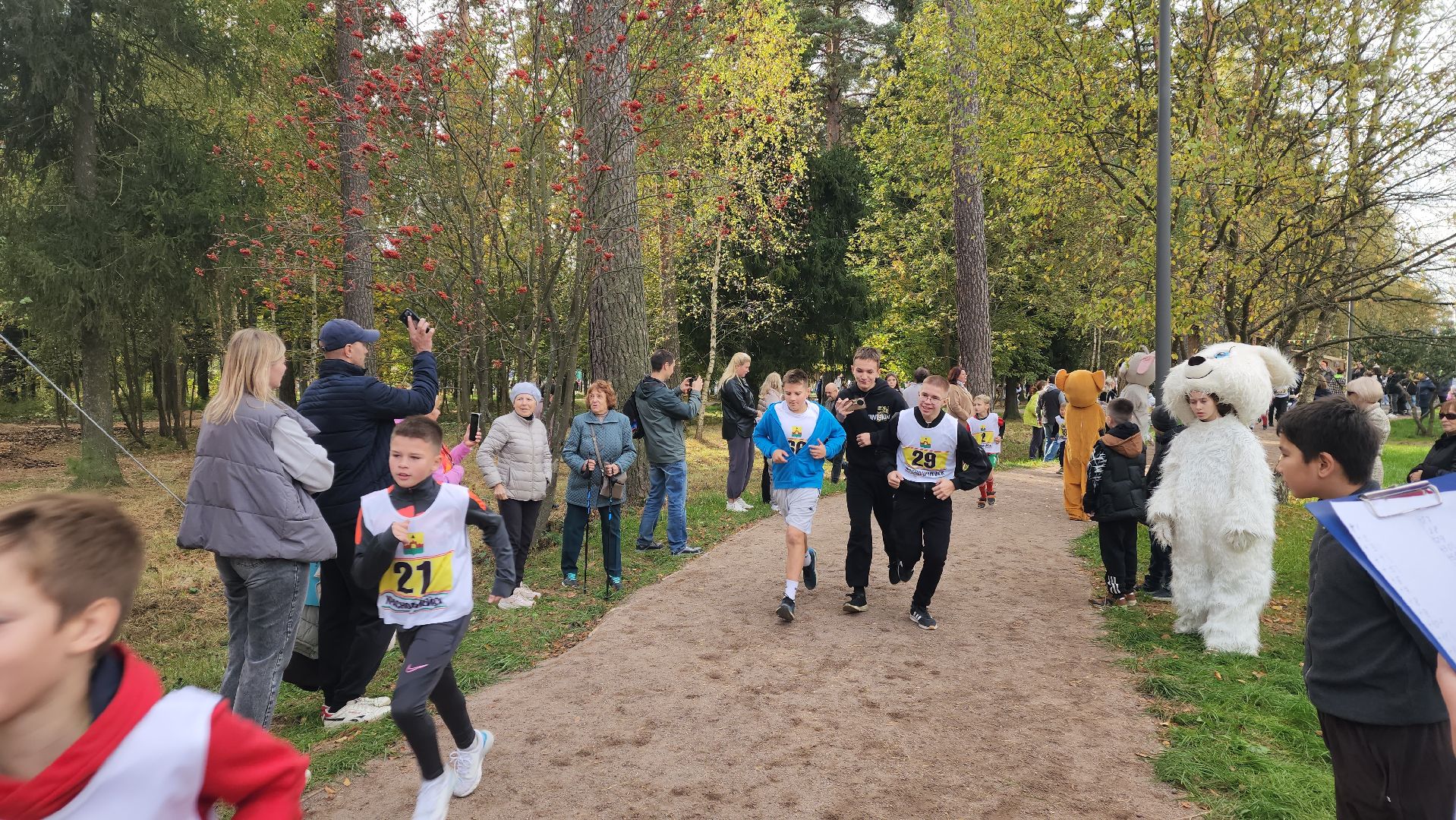 красноармейск, городской округ пушкинский, банный лес, спортивный забег,