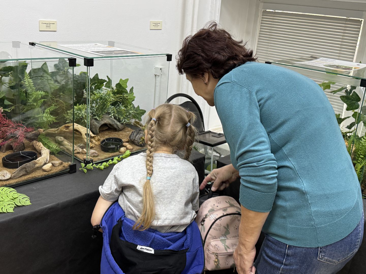 рептилии, бабочки, досуг, выставка ,