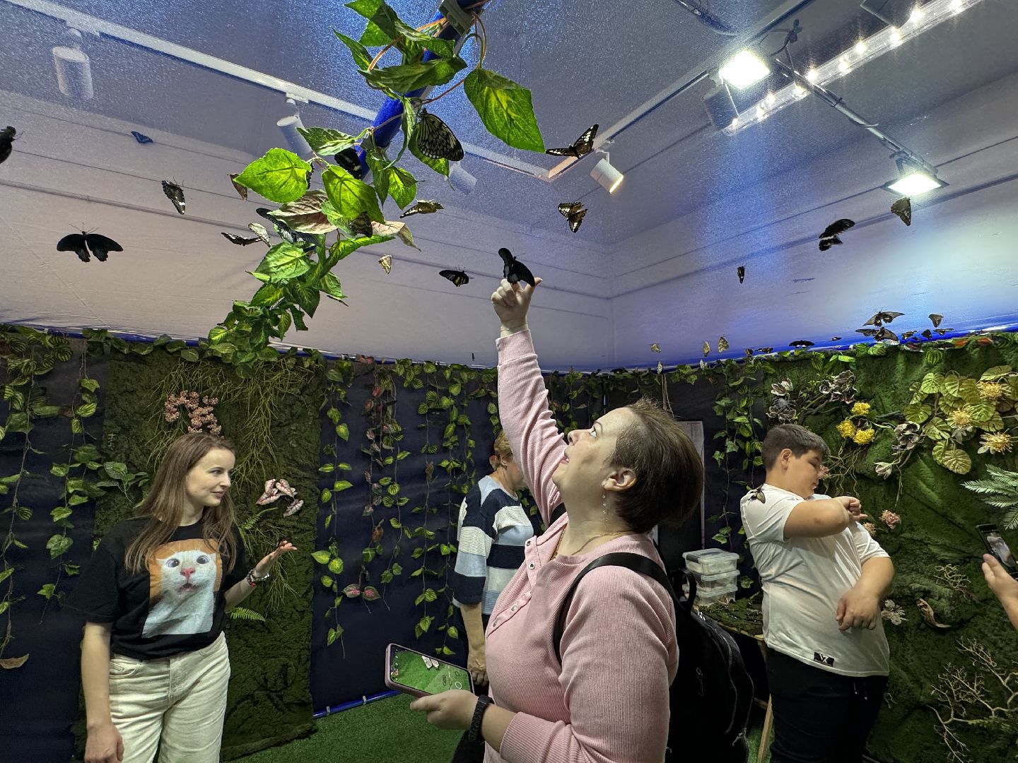 рептилии, бабочки, досуг, выставка ,