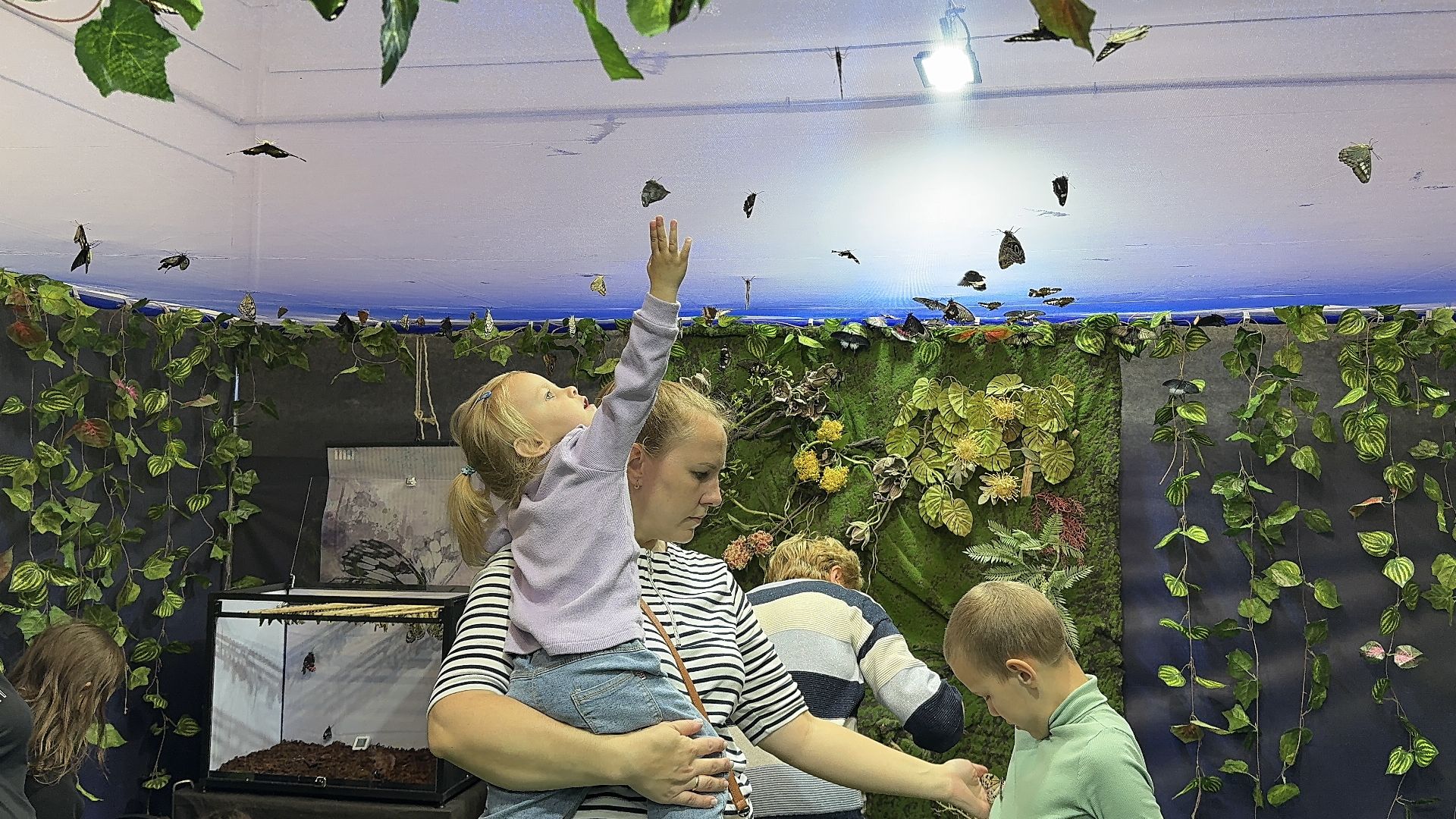 рептилии, бабочки, досуг, выставка ,