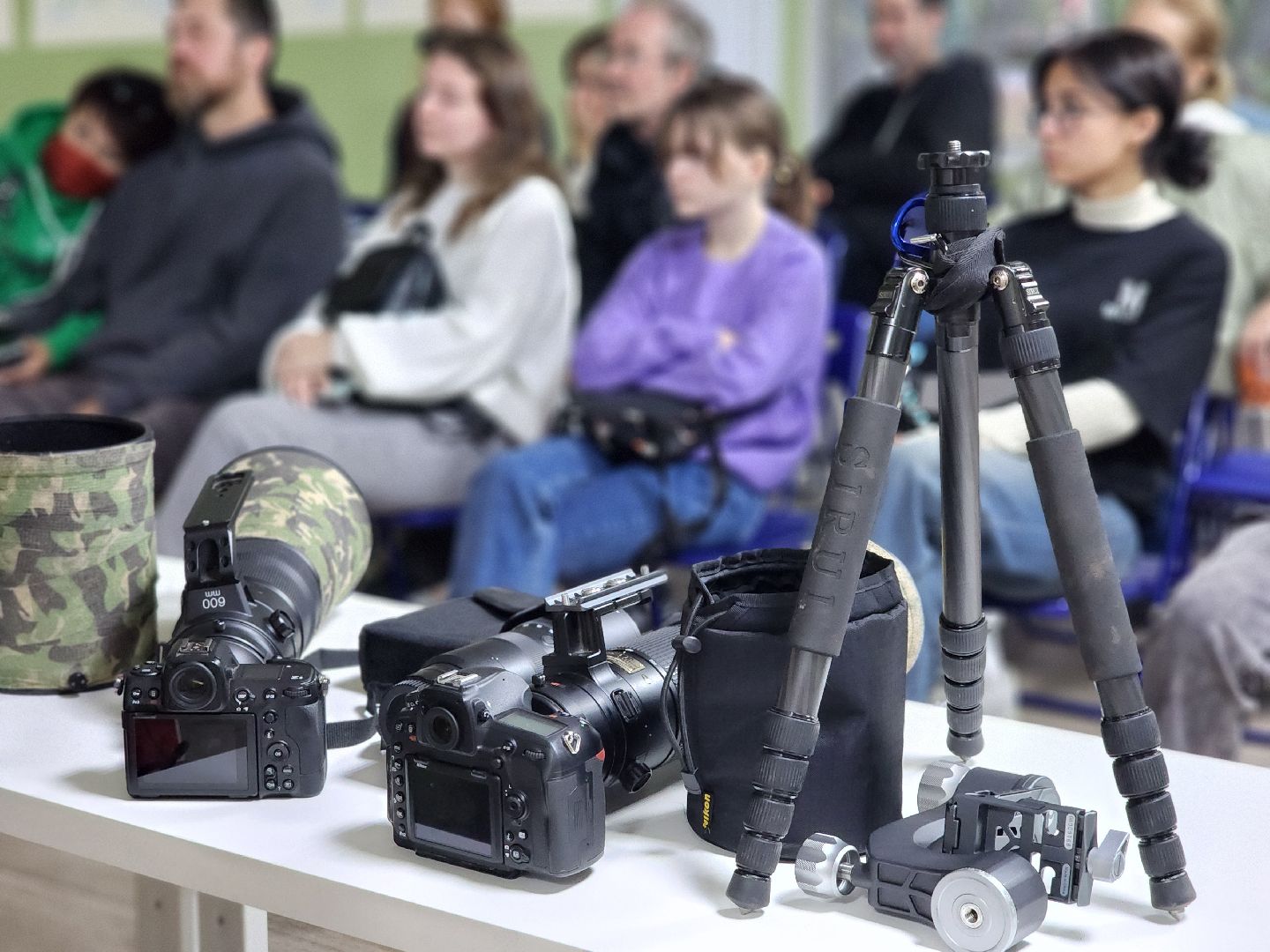 сергиев посад, сергиево-посадский городской округ, роман лобанов, фотограф-анималист, фотограф-натуралист, первозданная россия, фото журавлей, совы, сайгаки, золотая черепаха,