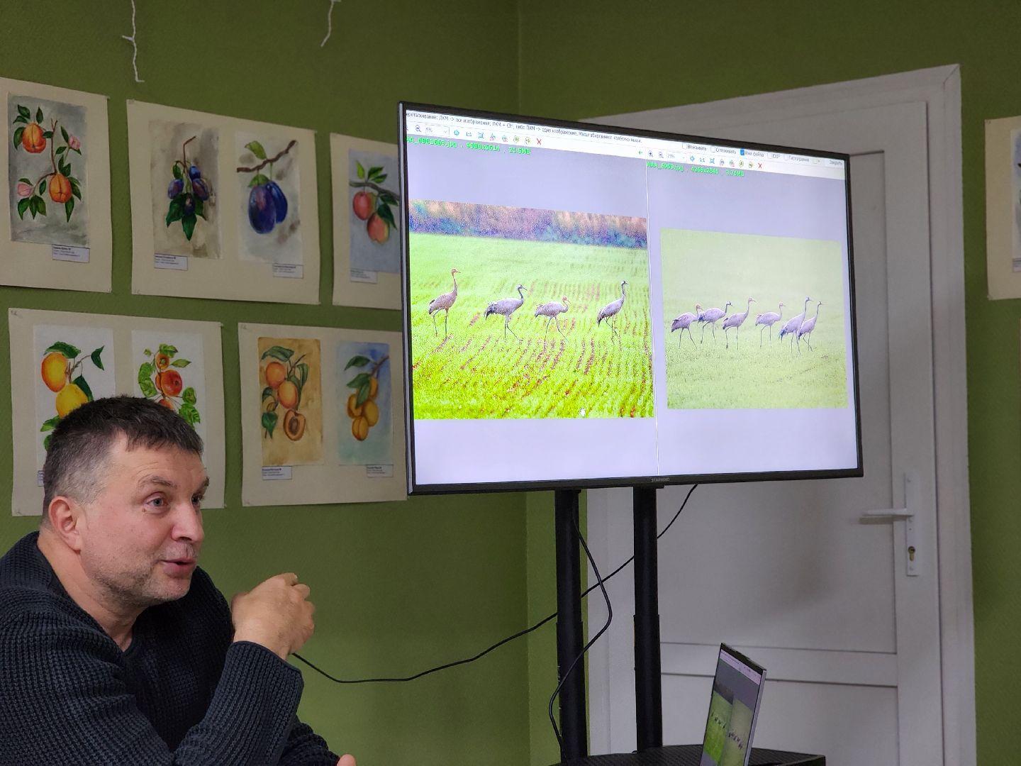сергиев посад, сергиево-посадский городской округ, роман лобанов, фотограф-анималист, фотограф-натуралист, первозданная россия, фото журавлей, совы, сайгаки, золотая черепаха,