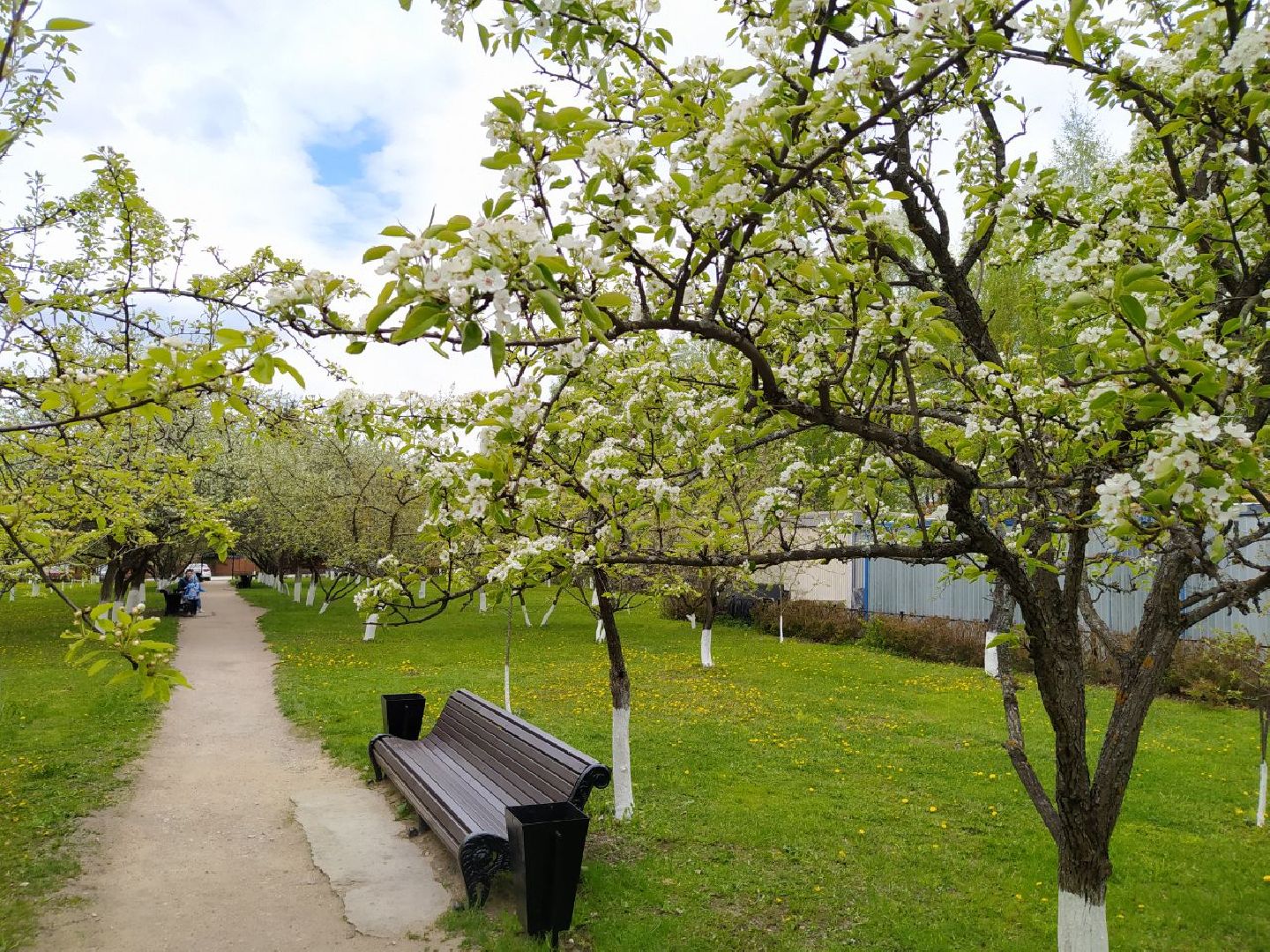парки, сад, Нахабино