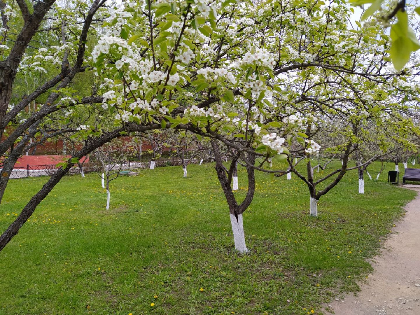 парки, сад, Нахабино