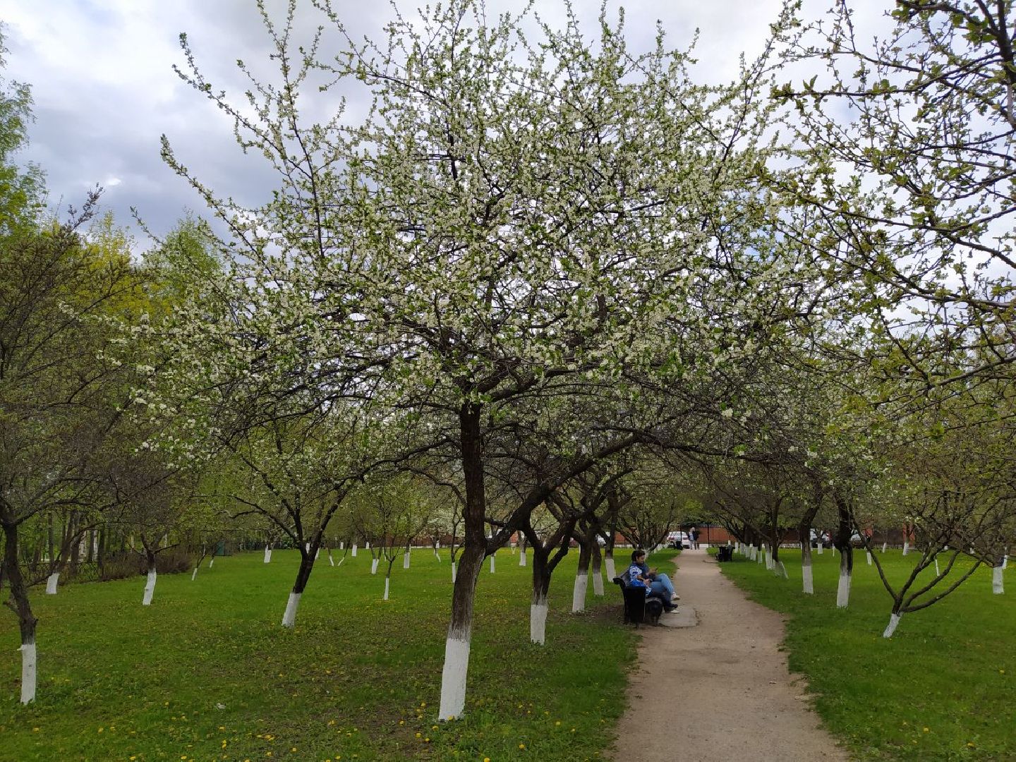 парки, сад, Нахабино
