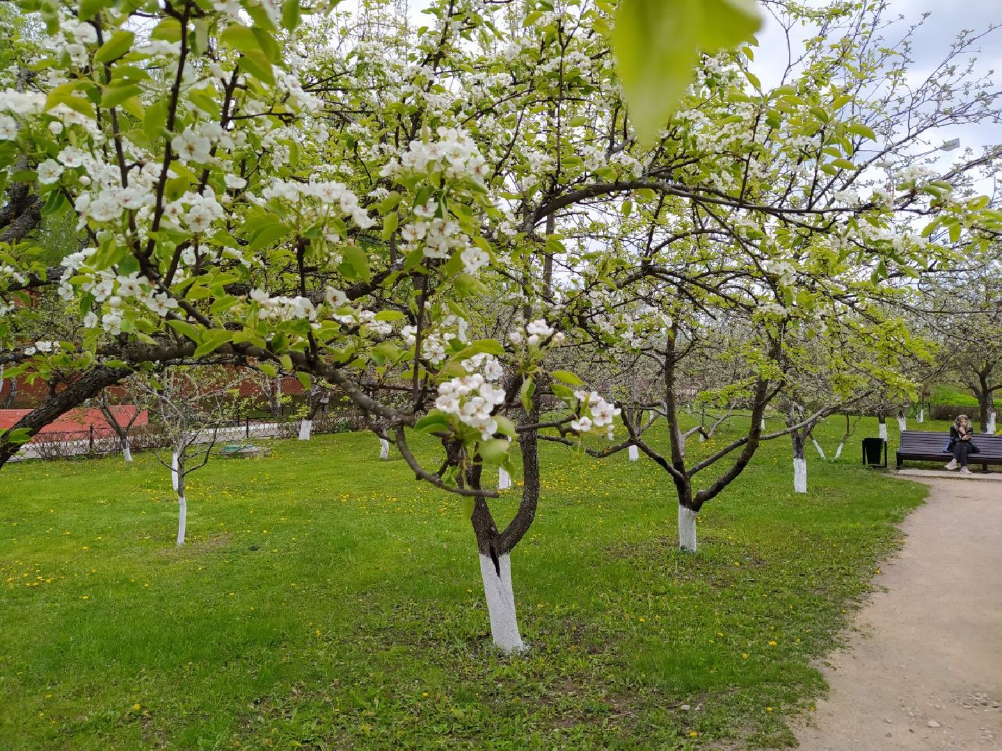 парки, сад, Нахабино