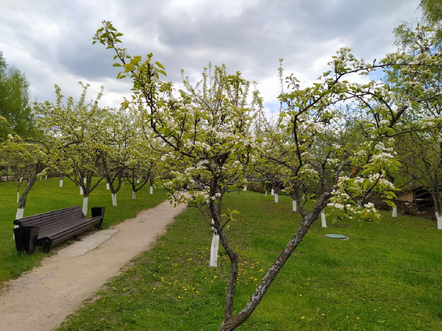 парки, сад, Нахабино