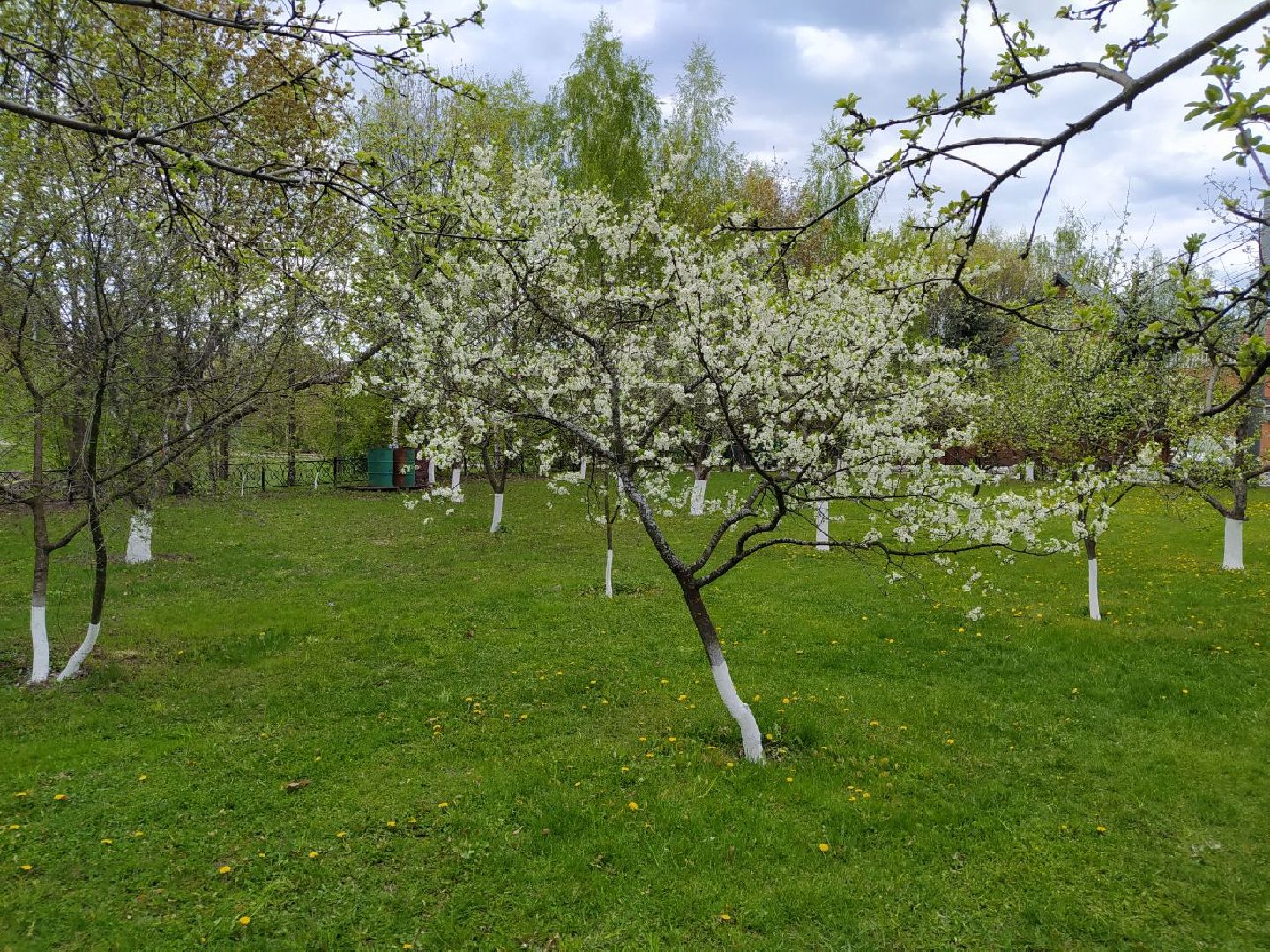 парки, сад, Нахабино