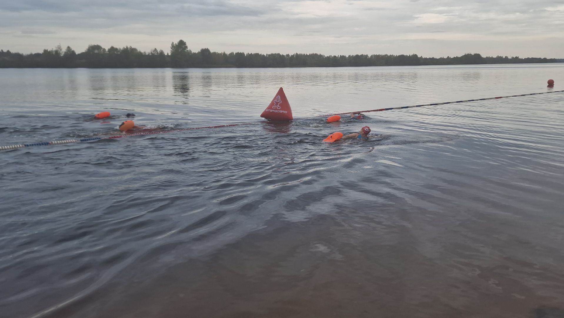 Дубна, Моржи,