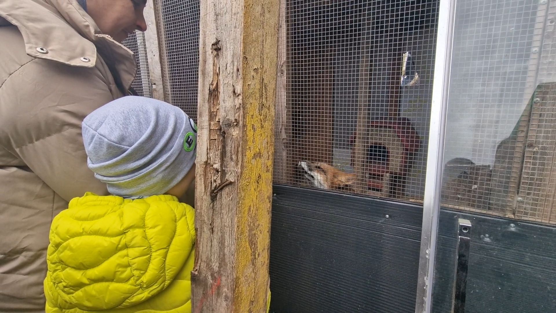 добрые прогулки в Балашихе, конный клуб пелагея в балашихе, помощь семьям участников сво,