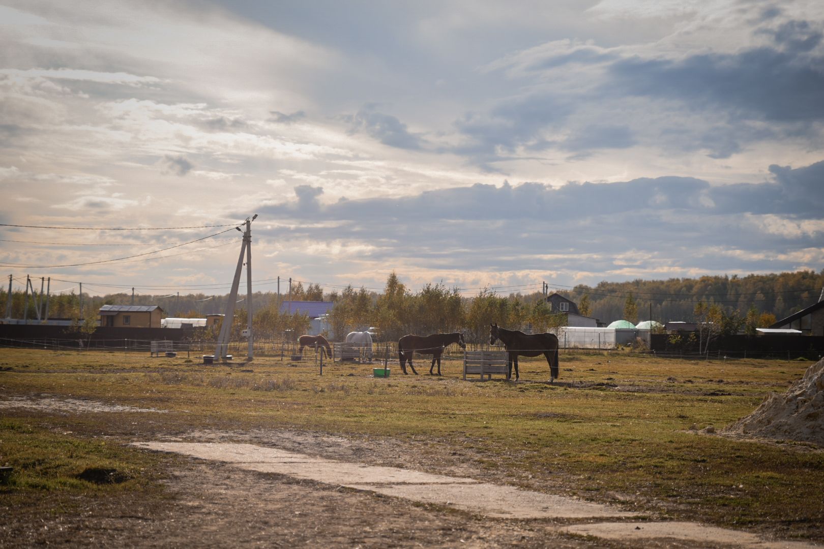 дети, конный клуб салтыково, конные прогулки , катание на лошадях,