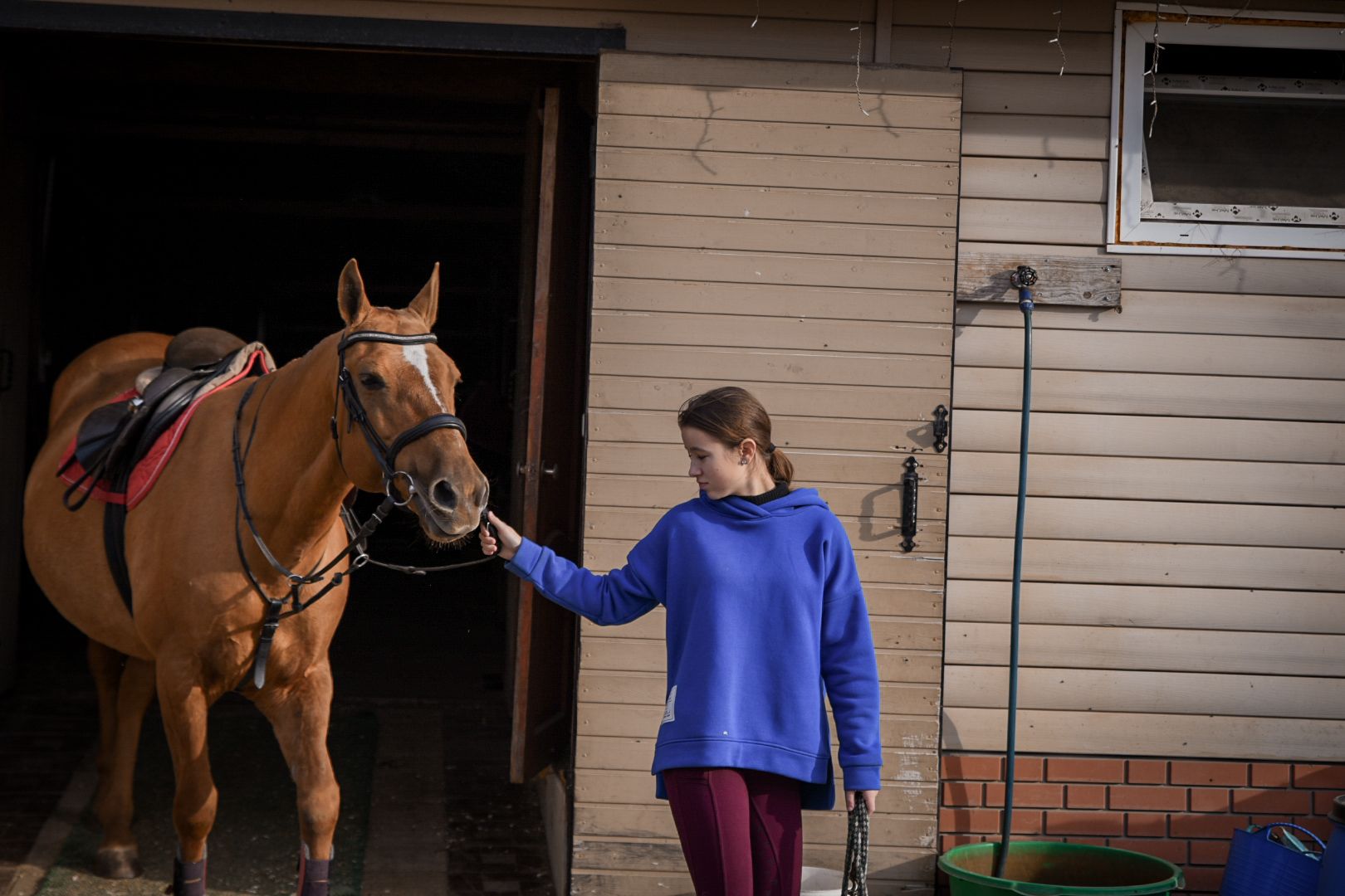 дети, конный клуб салтыково, конные прогулки , катание на лошадях,