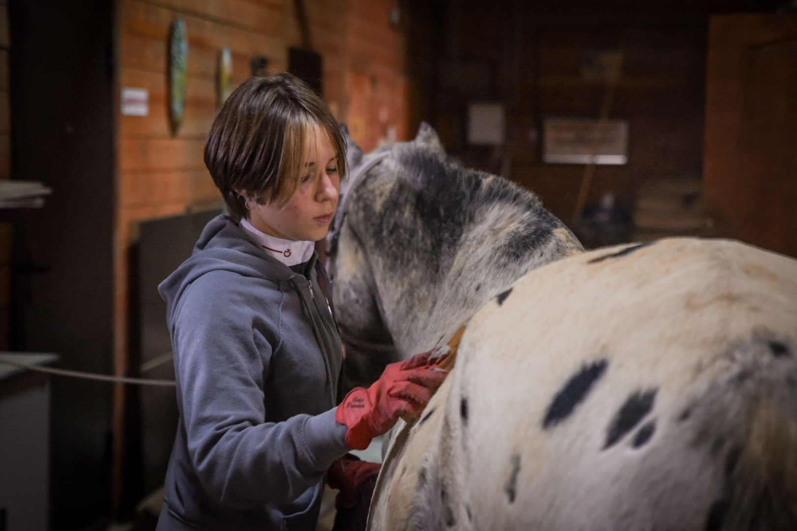 дети, конный клуб салтыково, конные прогулки , катание на лошадях,
