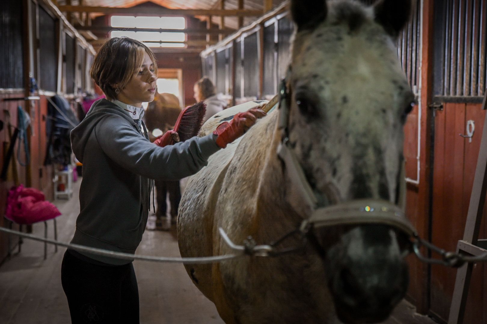 дети, конный клуб салтыково, конные прогулки , катание на лошадях,