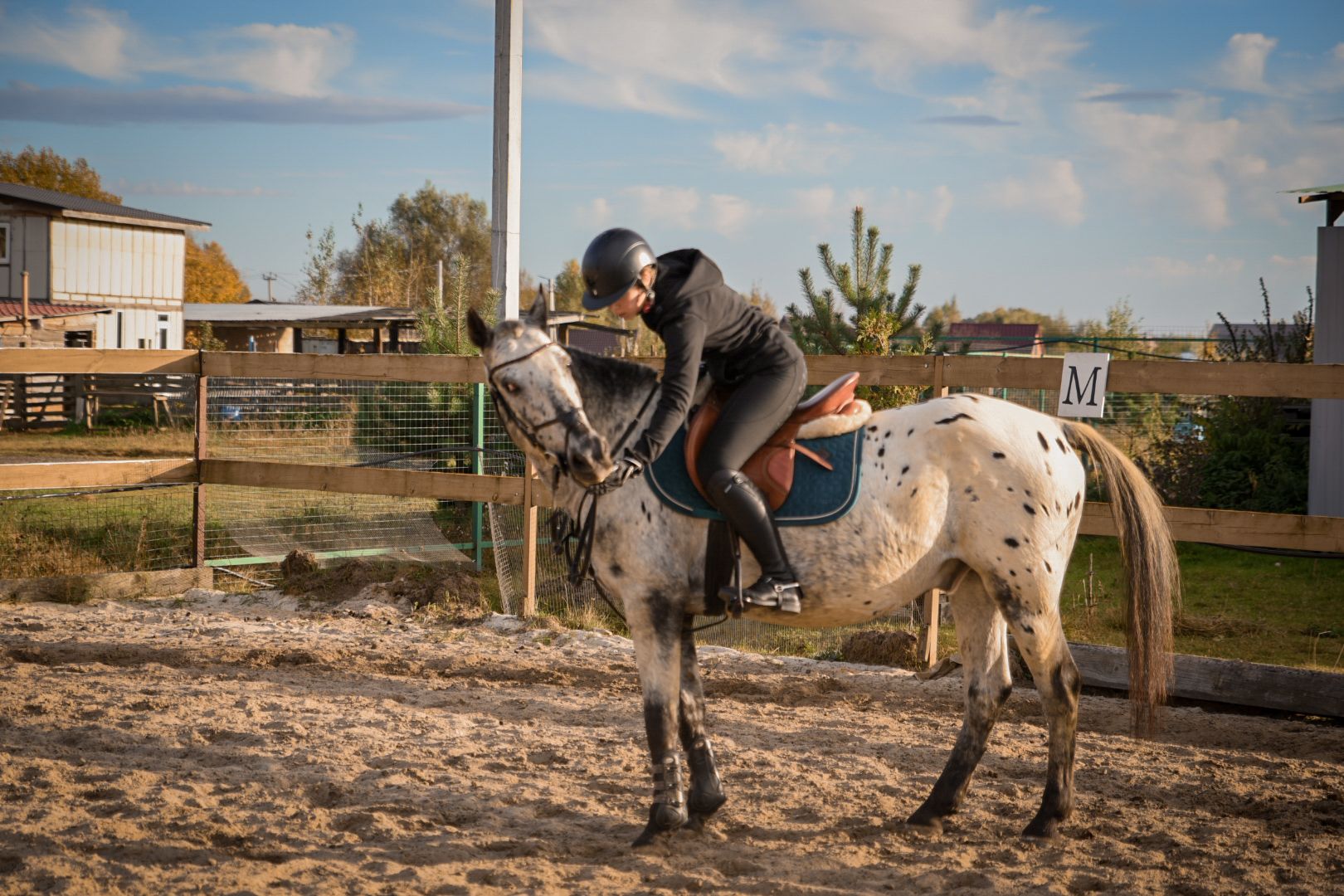 дети, конный клуб салтыково, конные прогулки , катание на лошадях,