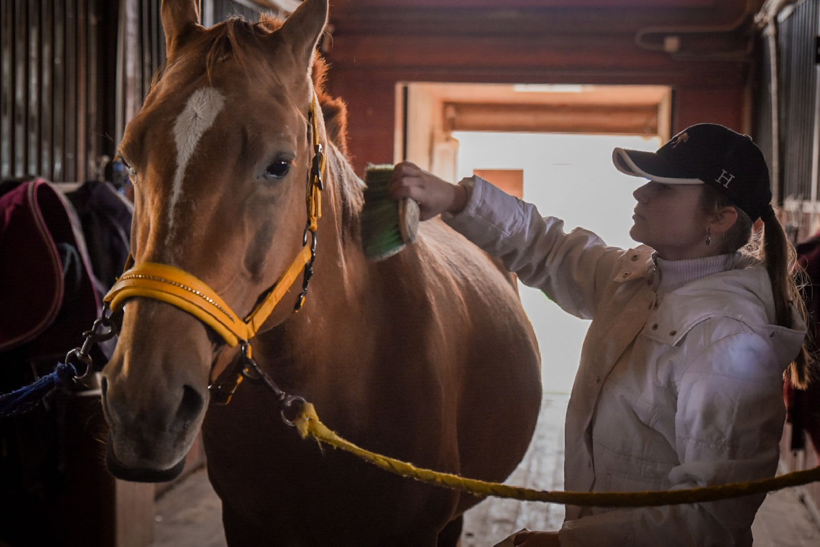 дети, конный клуб салтыково, конные прогулки , катание на лошадях,