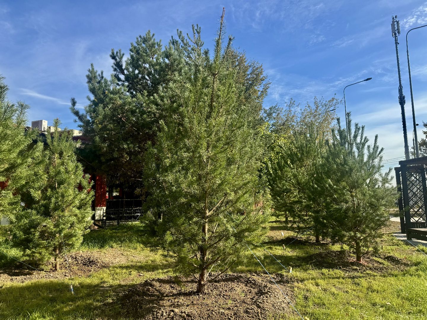 благоустройство сквера, ленинский городской округ, комфортная городская среда,