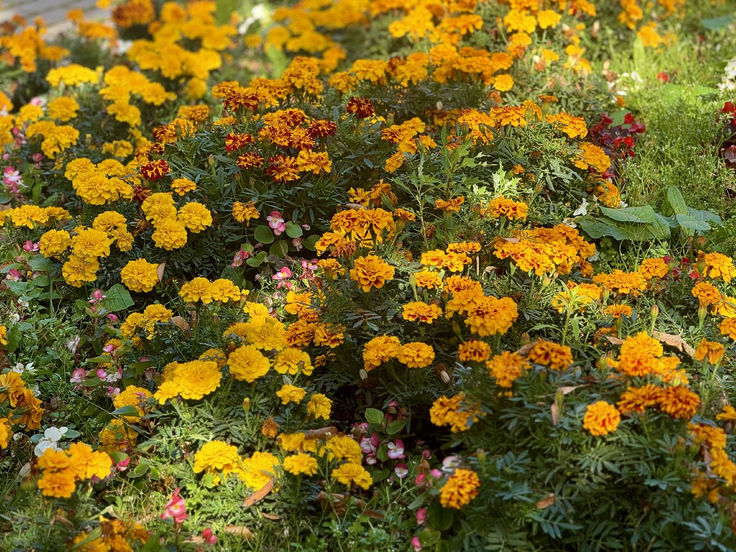 благоустройство сквера, ленинский городской округ, комфортная городская среда,