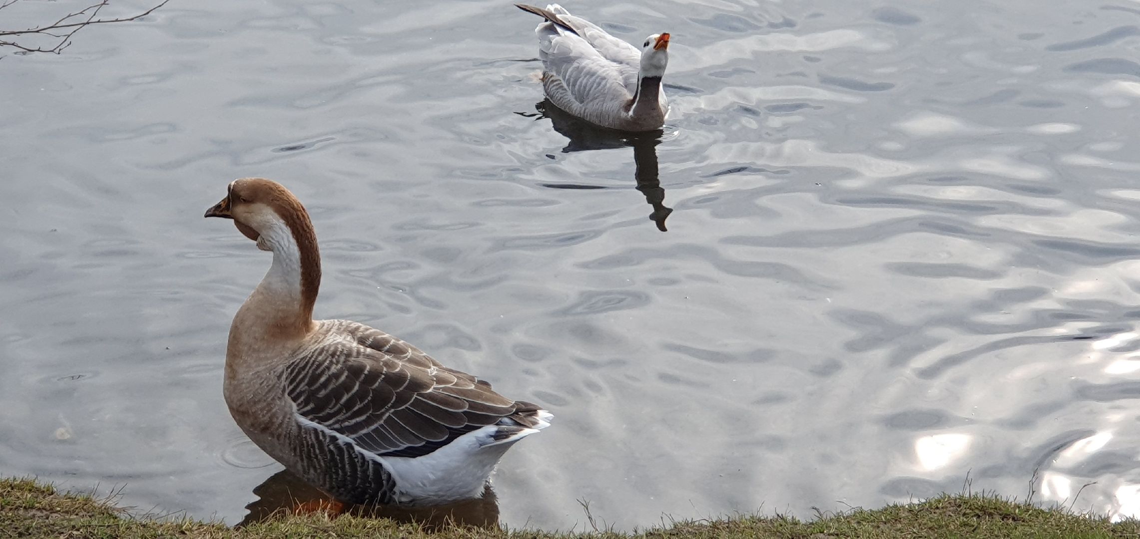 Монастырь, Дзержинский, природа, экология