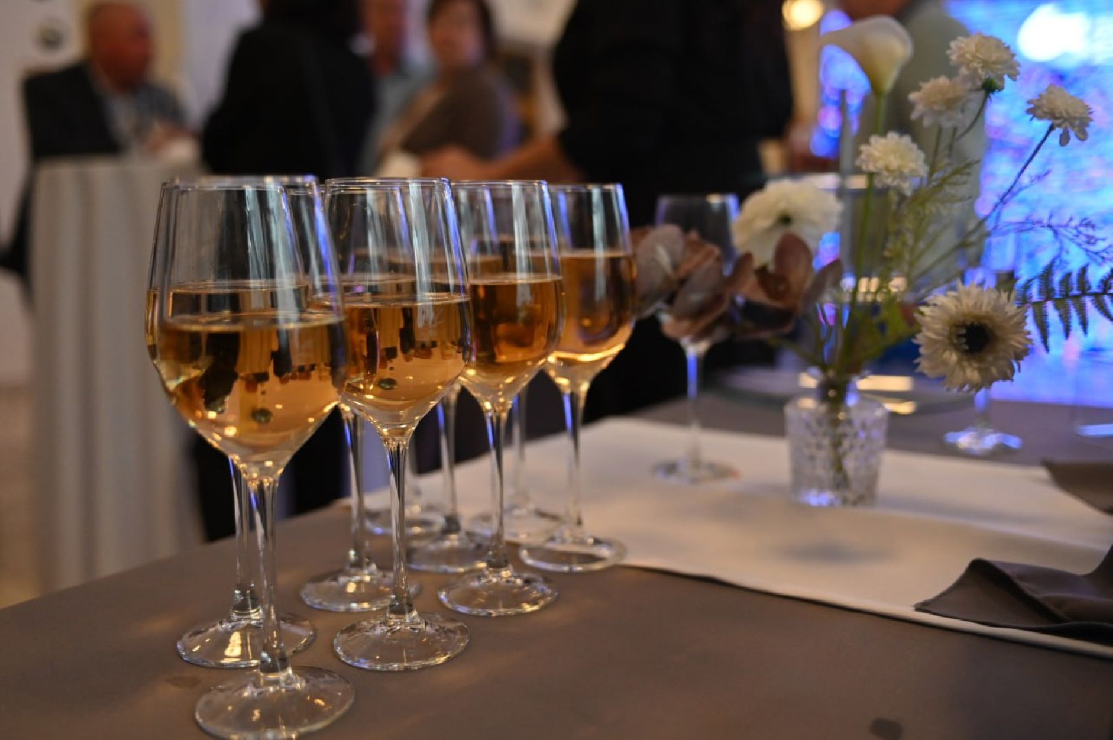 сергиев посад, сергиево-посадский городской округ, пересвет, дк космос, радон,росатом, радиоактивные отходы, хранение рао,