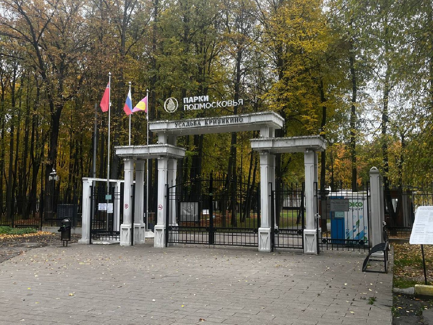 воскресенск, кривякино, осенние каникулы,