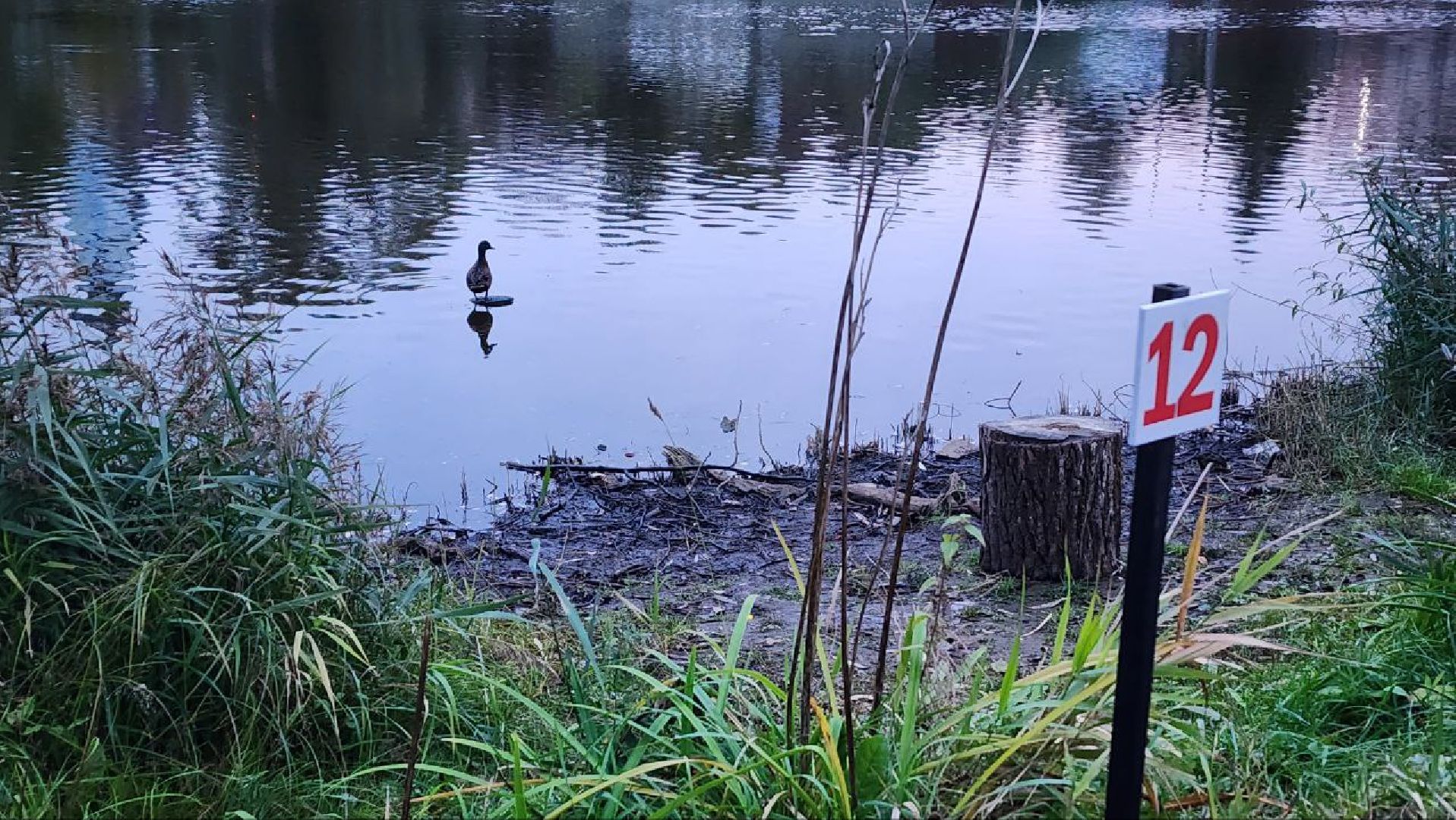 Дмитров, Подсадные утки, Соревнование охотников,