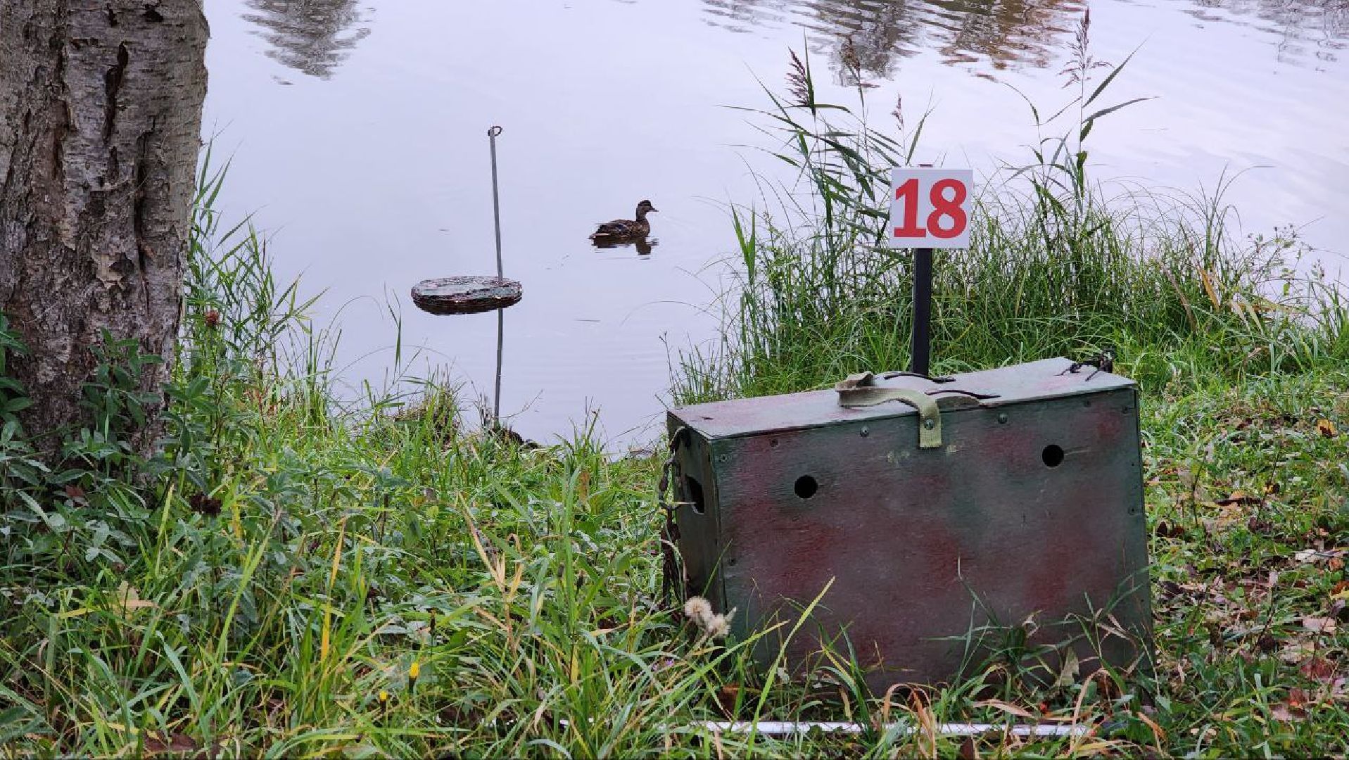 Дмитров, Подсадные утки, Соревнование охотников,