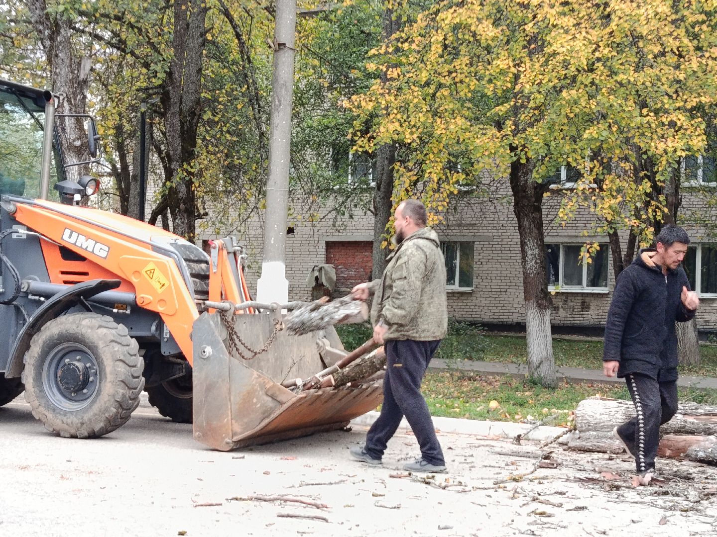 городской округ восход, благоустройство, сухостой, спил деревьев, сухостойные деревья,