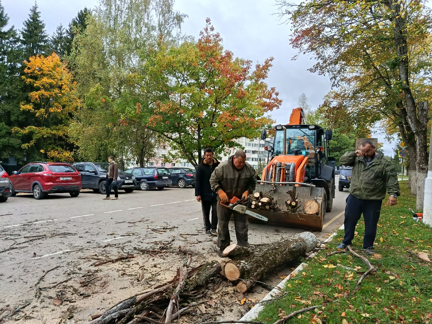 городской округ восход, благоустройство, сухостой, спил деревьев, сухостойные деревья,