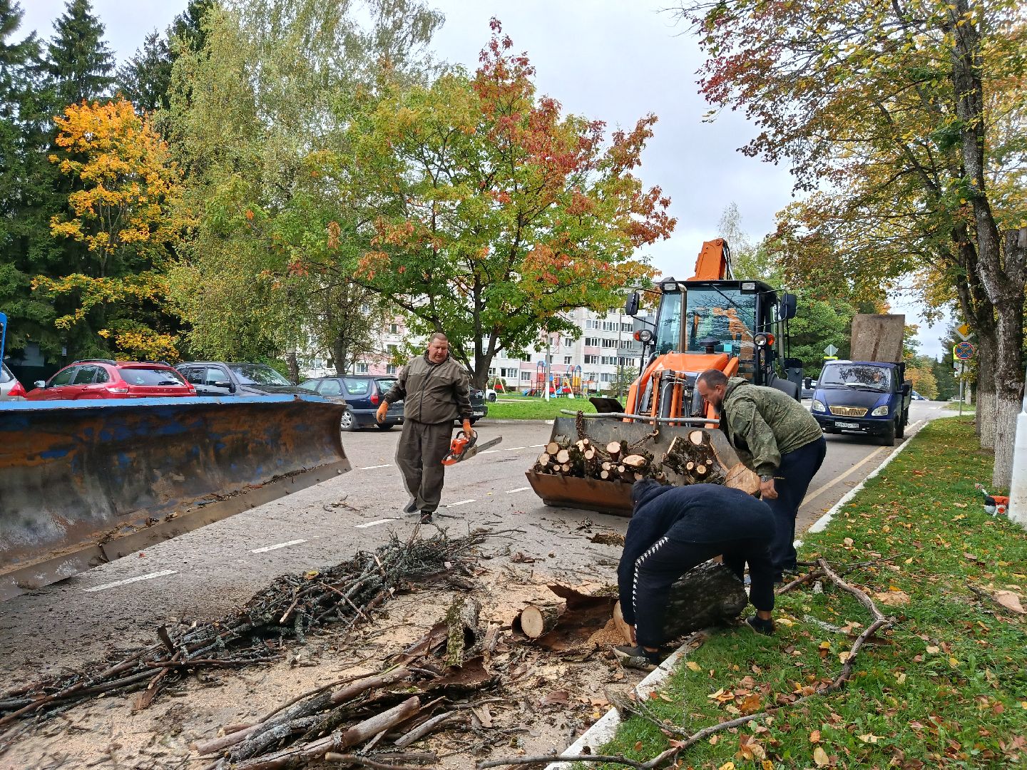 городской округ восход, благоустройство, сухостой, спил деревьев, сухостойные деревья,