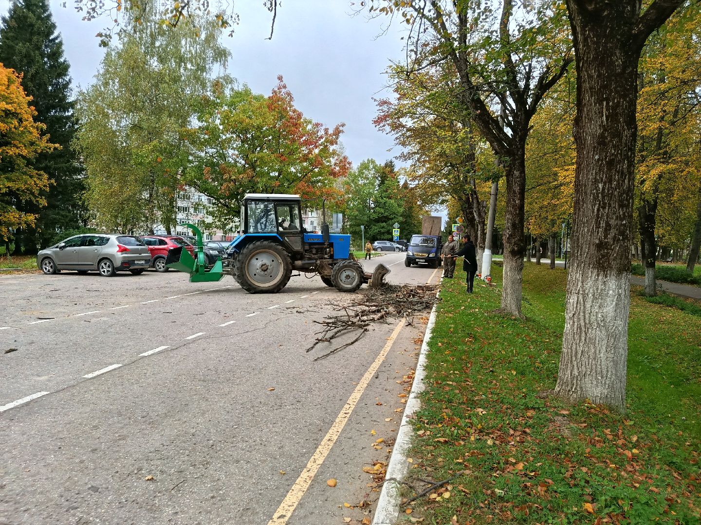 городской округ восход, благоустройство, сухостой, спил деревьев, сухостойные деревья,