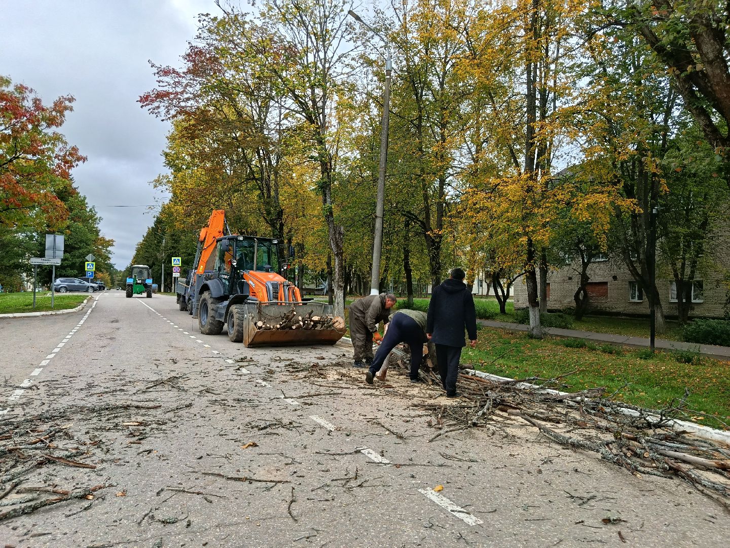 городской округ восход, благоустройство, сухостой, спил деревьев, сухостойные деревья,