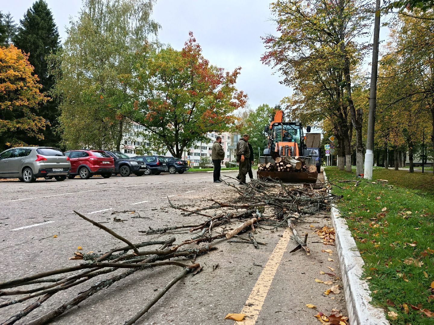 городской округ восход, благоустройство, сухостой, спил деревьев, сухостойные деревья,