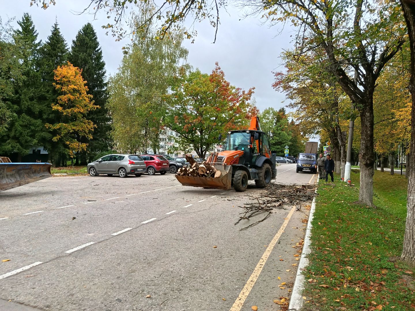 городской округ восход, благоустройство, сухостой, спил деревьев, сухостойные деревья,